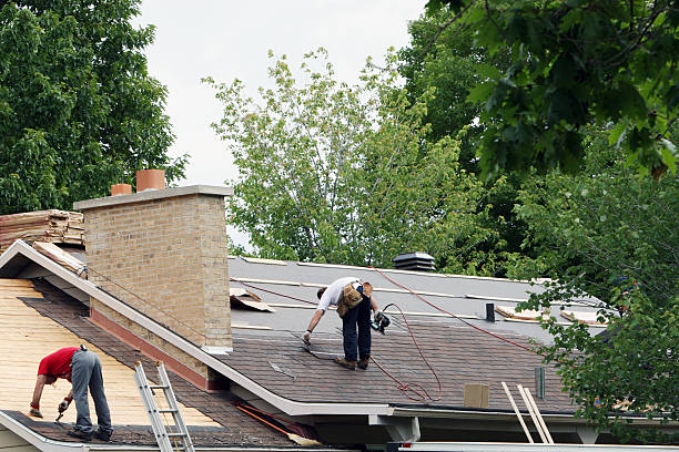 Best Roof Installation  in Lavonia, GA