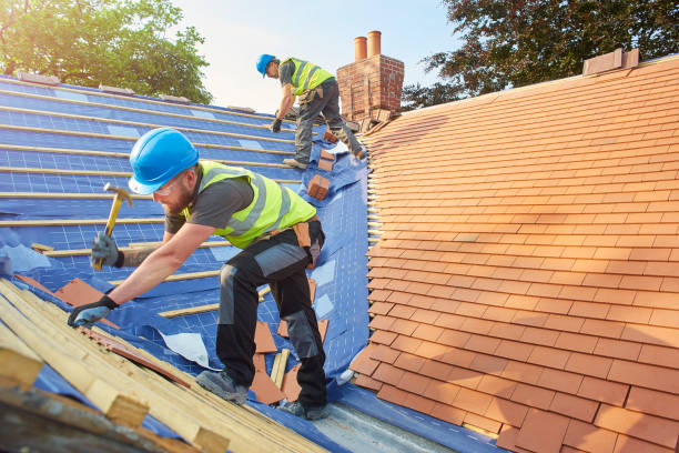 Best Rubber Roofing (EPDM, TPO)  in Lavonia, GA